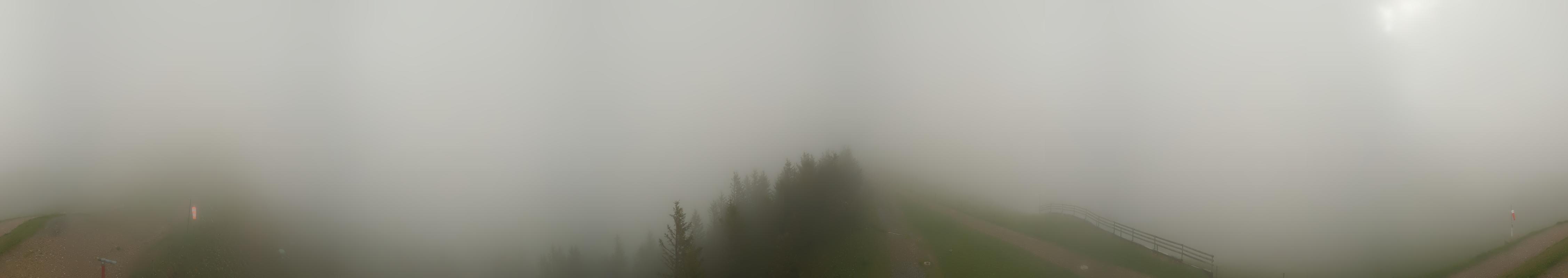 8h ago - 13:02