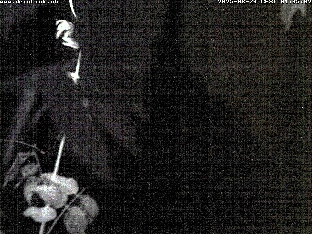 4h ago - 02:06
