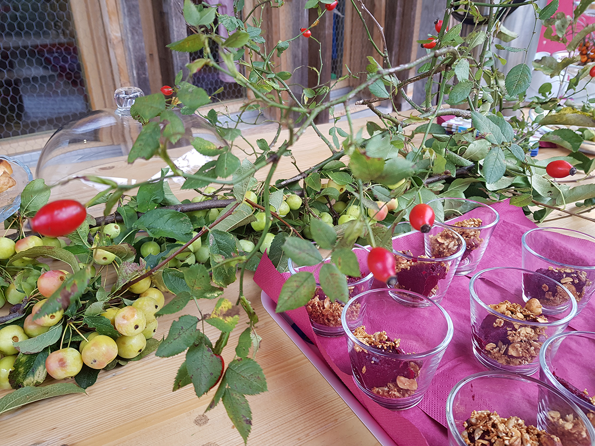 Wildkräuterkurs – die Kräuter des Herbstes