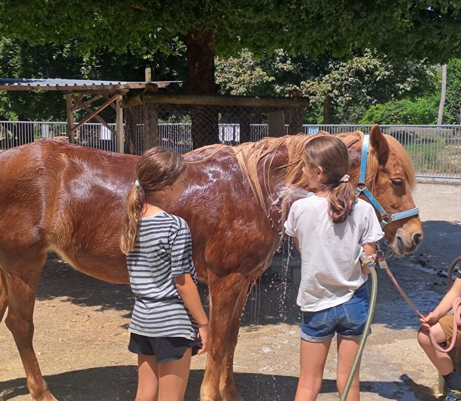Titelbild des Events: Tierpflegewoche