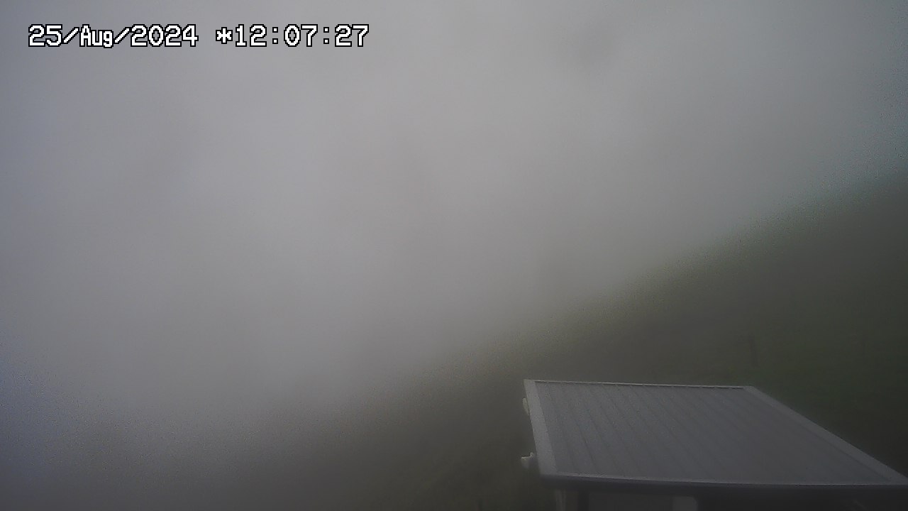 25.08.2024 12:01