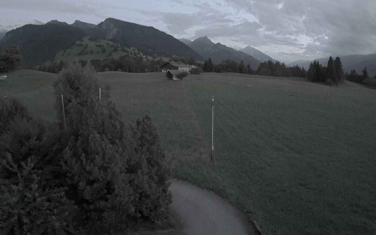 35h ago - 21:25