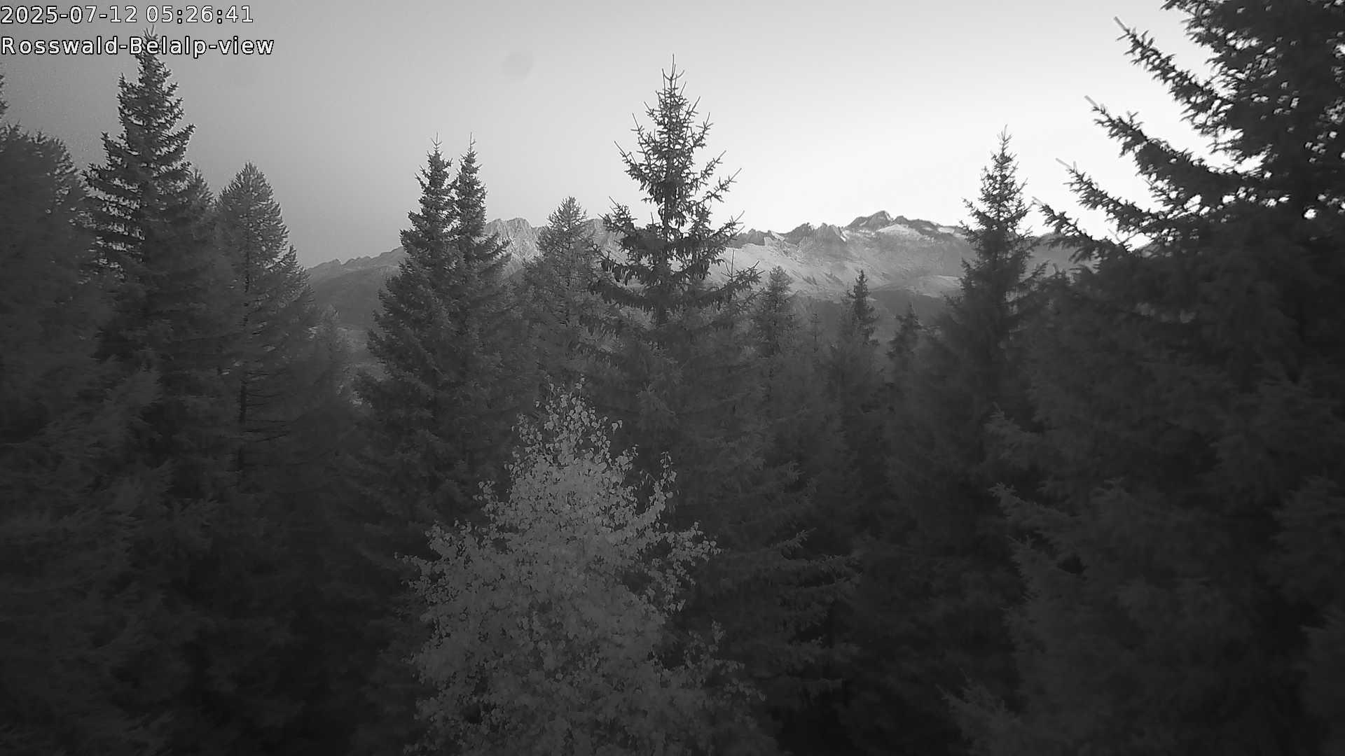 27h ago - 05:31