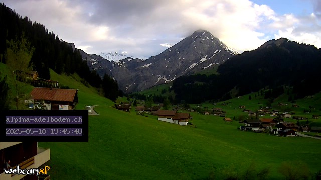 14h ago - 19:45