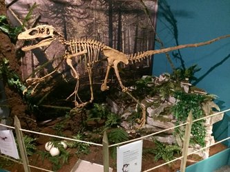 Impression der Sauropoden Ausstellung