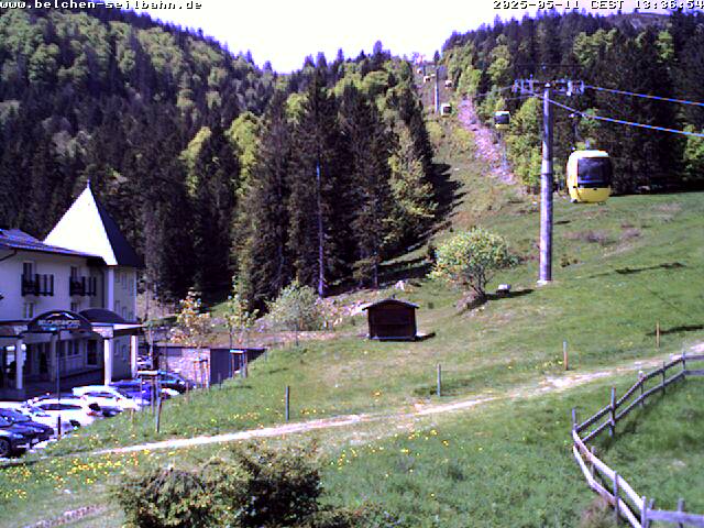 3h ago - 12:36