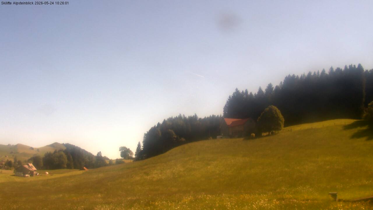 7h ago - 10:16