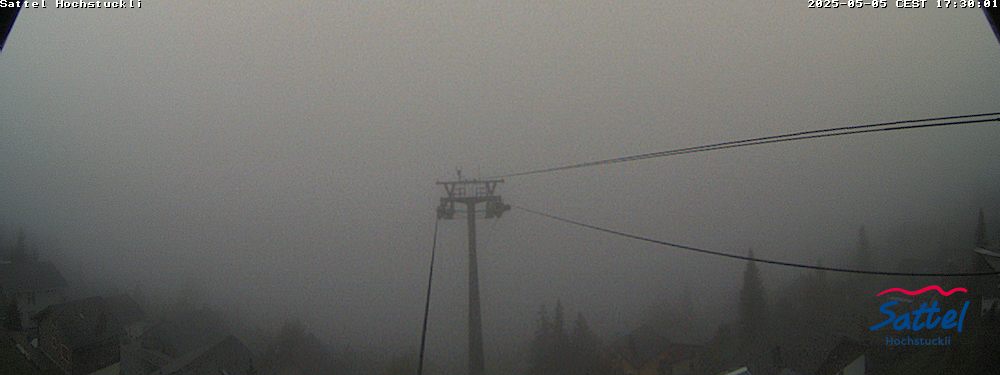 36h ago - 17:30