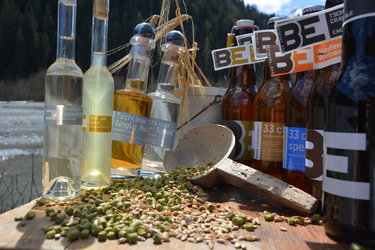 Brauereibesuch und Degustation