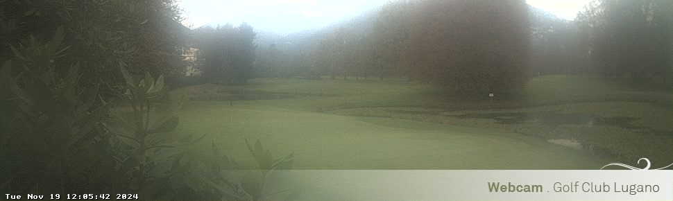 19.11.2024 12:06