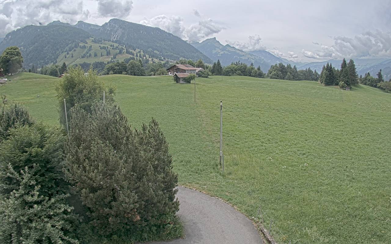 27.06.2025 12:25
