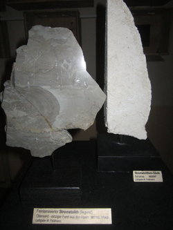 Geologie- und Fossilienausstellung