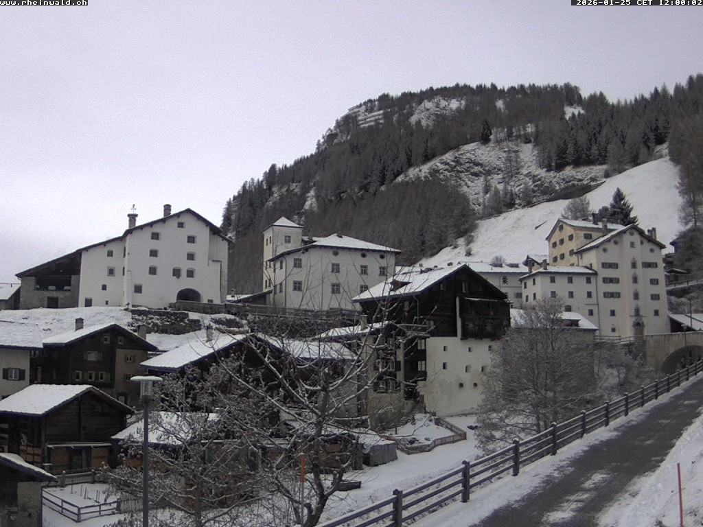 25.01.2026 12:00