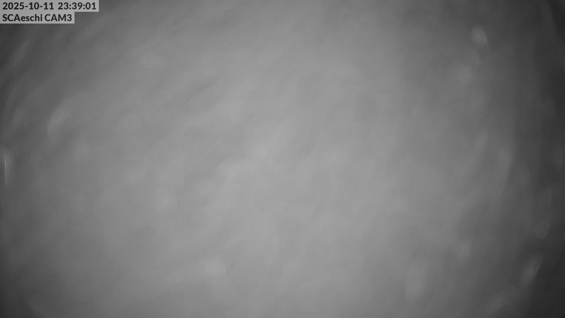 41h ago - 23:39