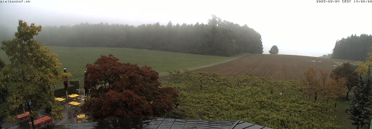 6h ago - 14:00
