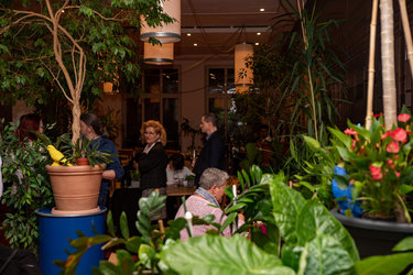 <strong>ABGESAGT</strong>Dschungel Restaurant mit Barbetrieb - 1