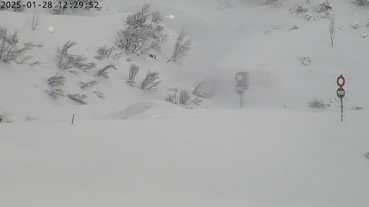 28.01.2025 12:30