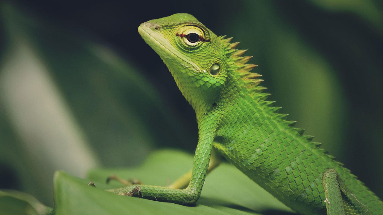 Titelbild des Events: TerraExpo