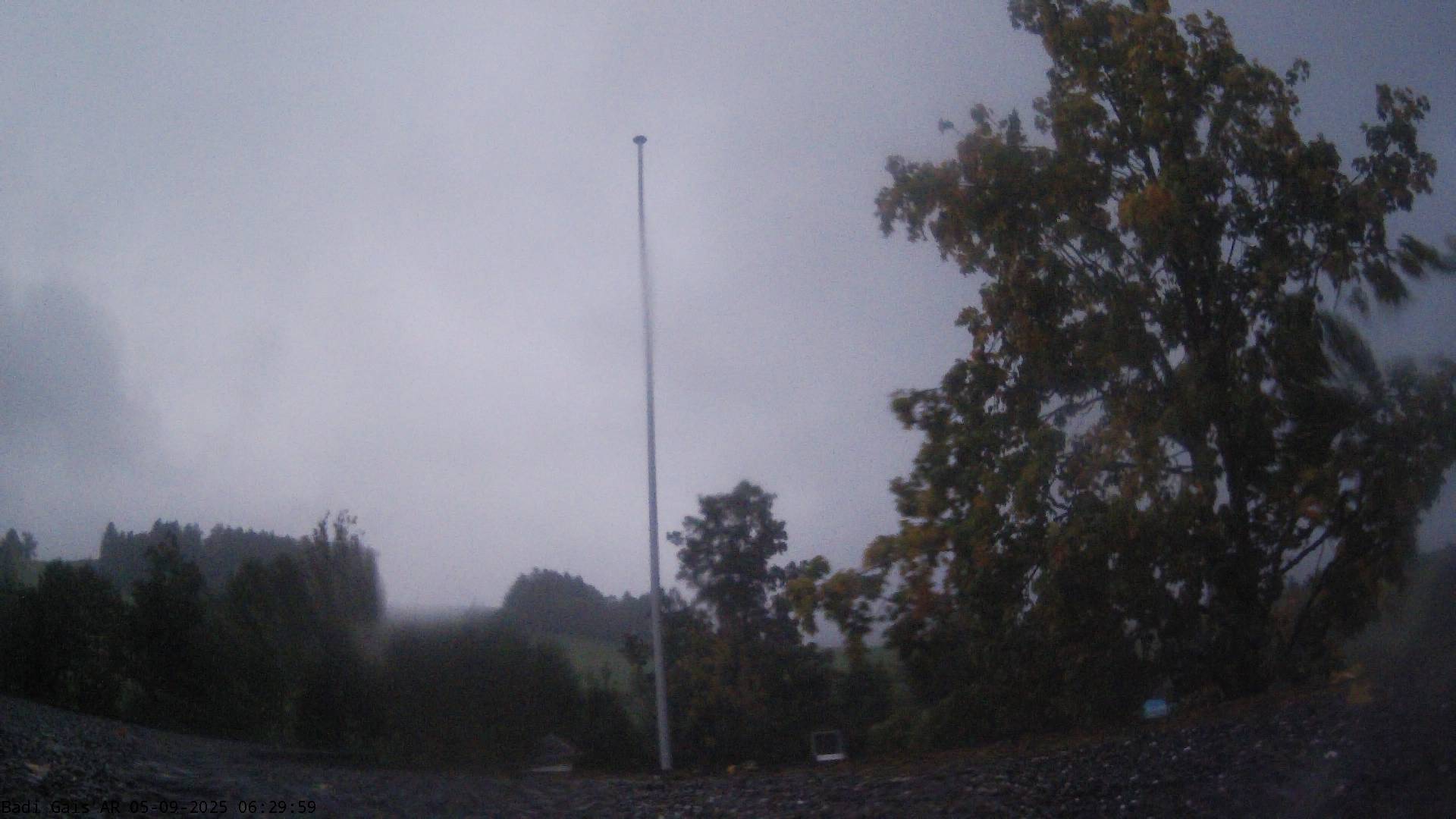 20h ago - 06:31