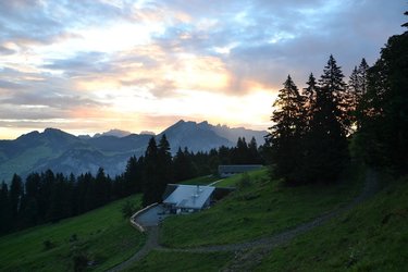 Nüenalp