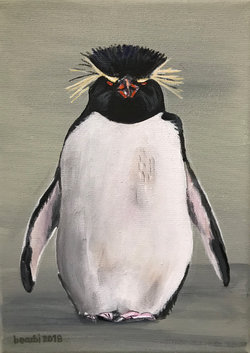 Goldschopfpinguin, Oel auf Leinwand, 18 x 24 cm