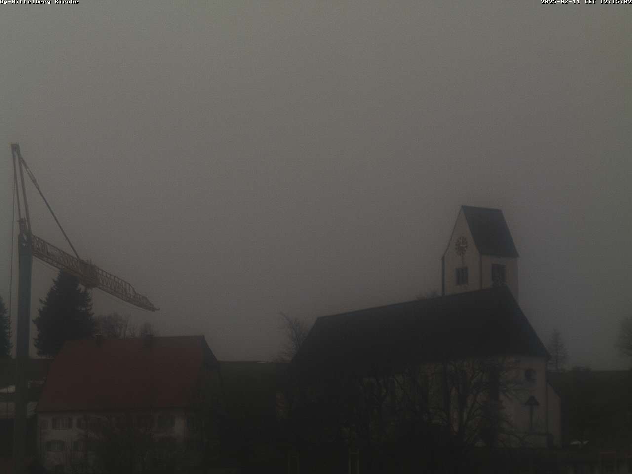 11.02.2025 12:17