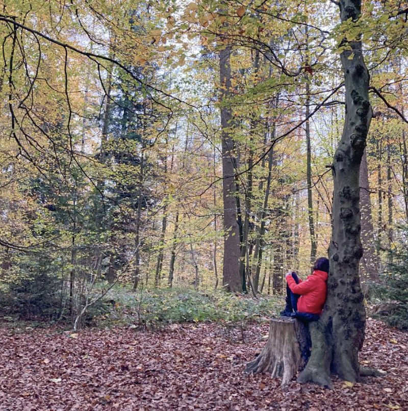 Waldbaden im Botanischen Garten Grüningen ZH
