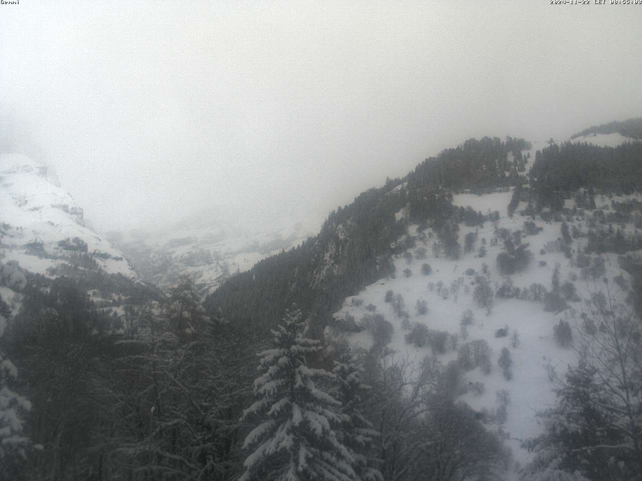 22.11.2024 12:01