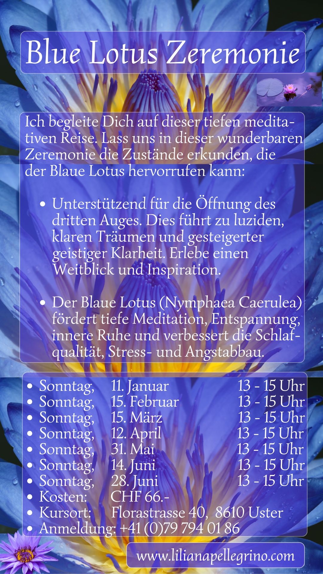 Blue Lotus Zeremonie in Uster