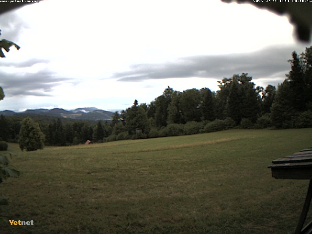 29h ago - 08:10
