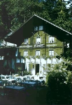 Waldgasthaus Chalet Saalhöhe: Aussenansicht