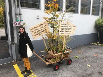 Schweizer Parlamentswahlen 20.10.2019 in Glarus