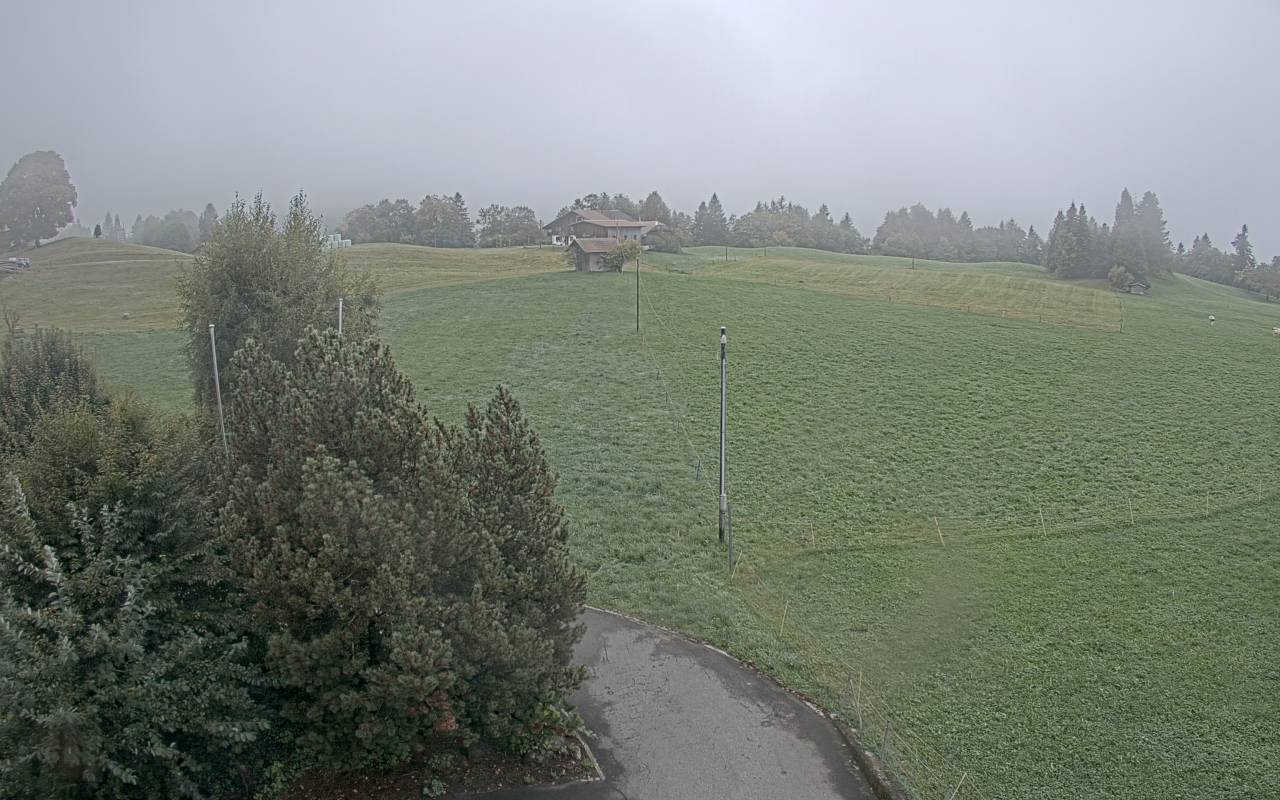 8h ago - 13:25