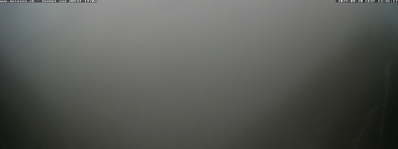 31h ago - 13:41