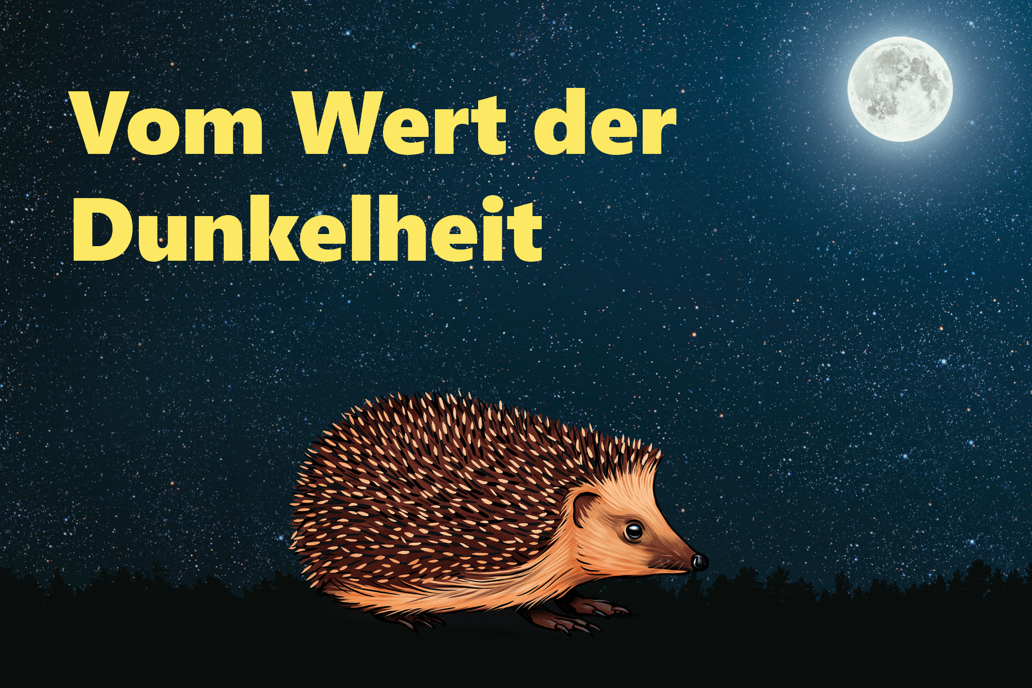 Titelbild des Events: Nachtspaziergang "Werte der Nacht"