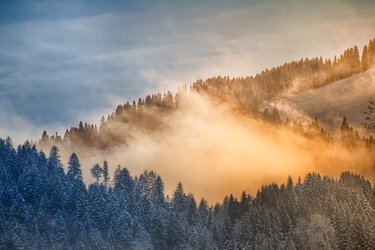 Wintererlebnis-Tour verschneite Landschaft