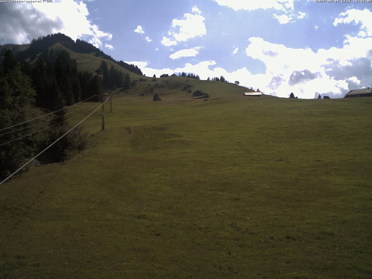 16h ago - 16:45