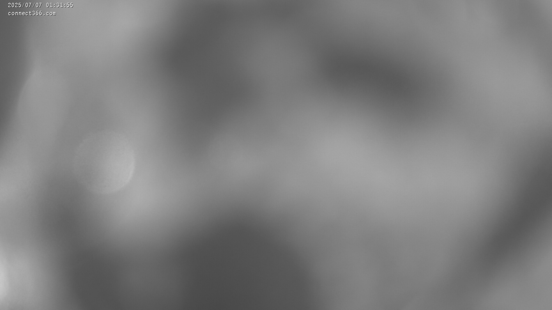 38h ago - 01:32