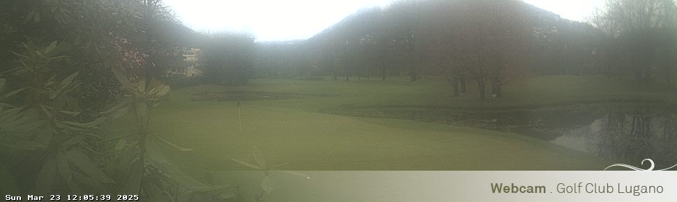 23.03.2025 12:05