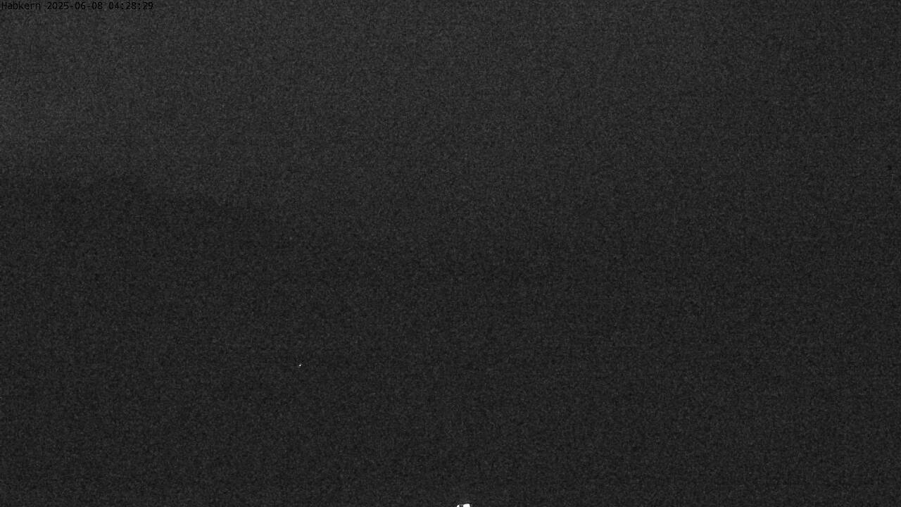 24h ago - 04:31