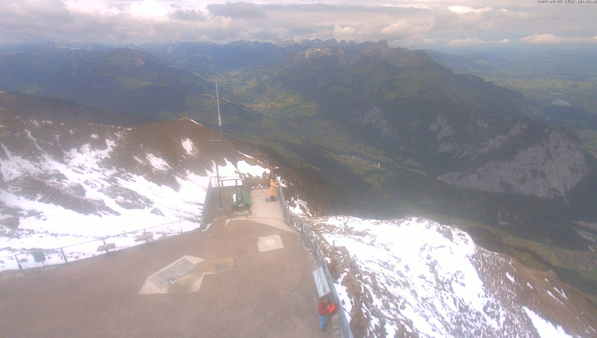 25.05.2025 12:06