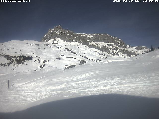 19.02.2025 12:00