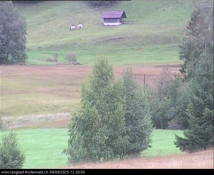 09.09.2025 12:10