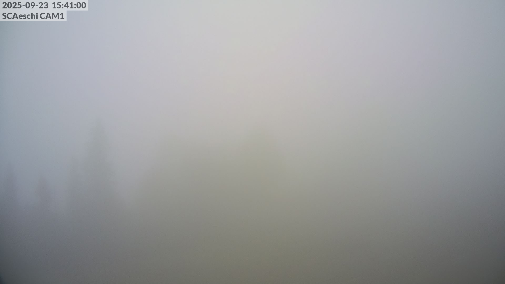 6h ago - 15:41