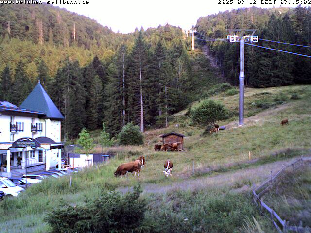 26h ago - 06:12