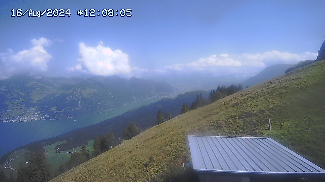 16.08.2024 12:01