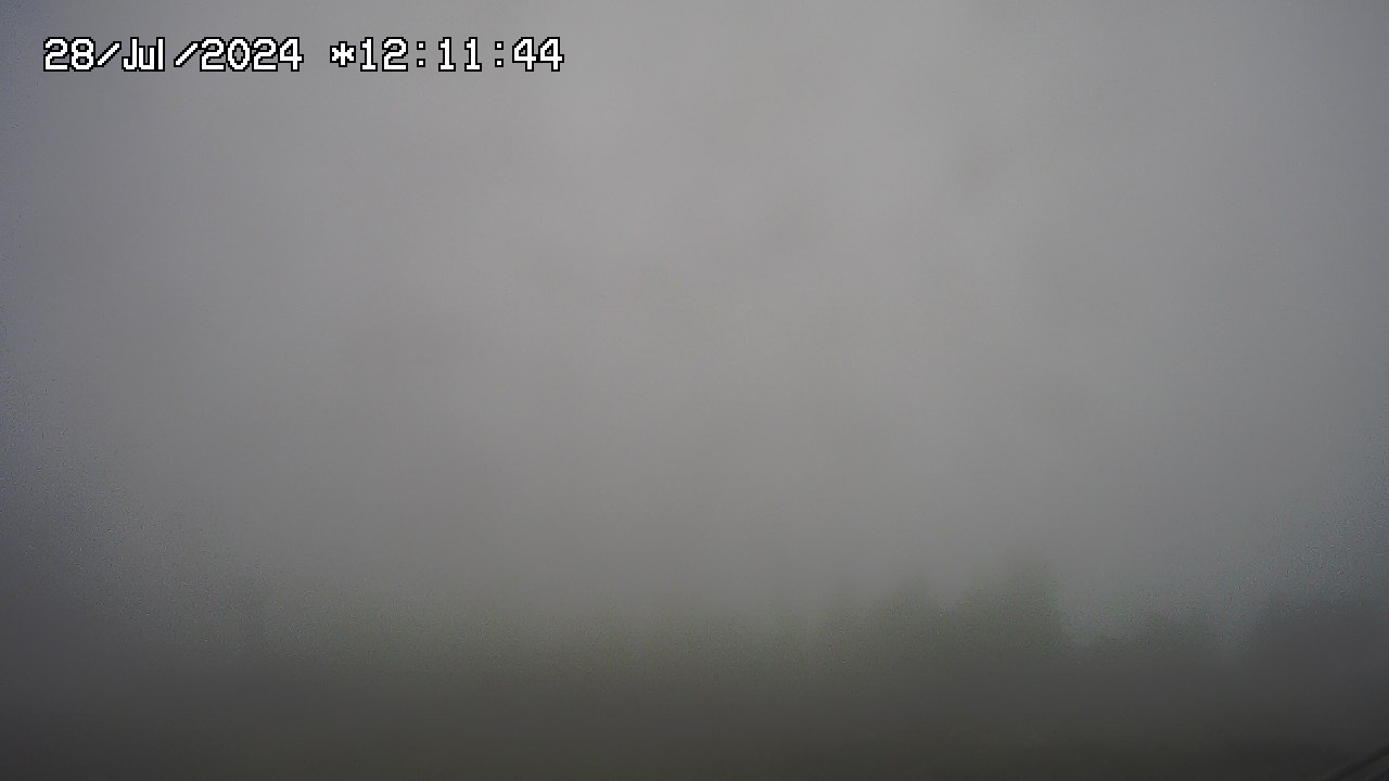 28.07.2024 12:01