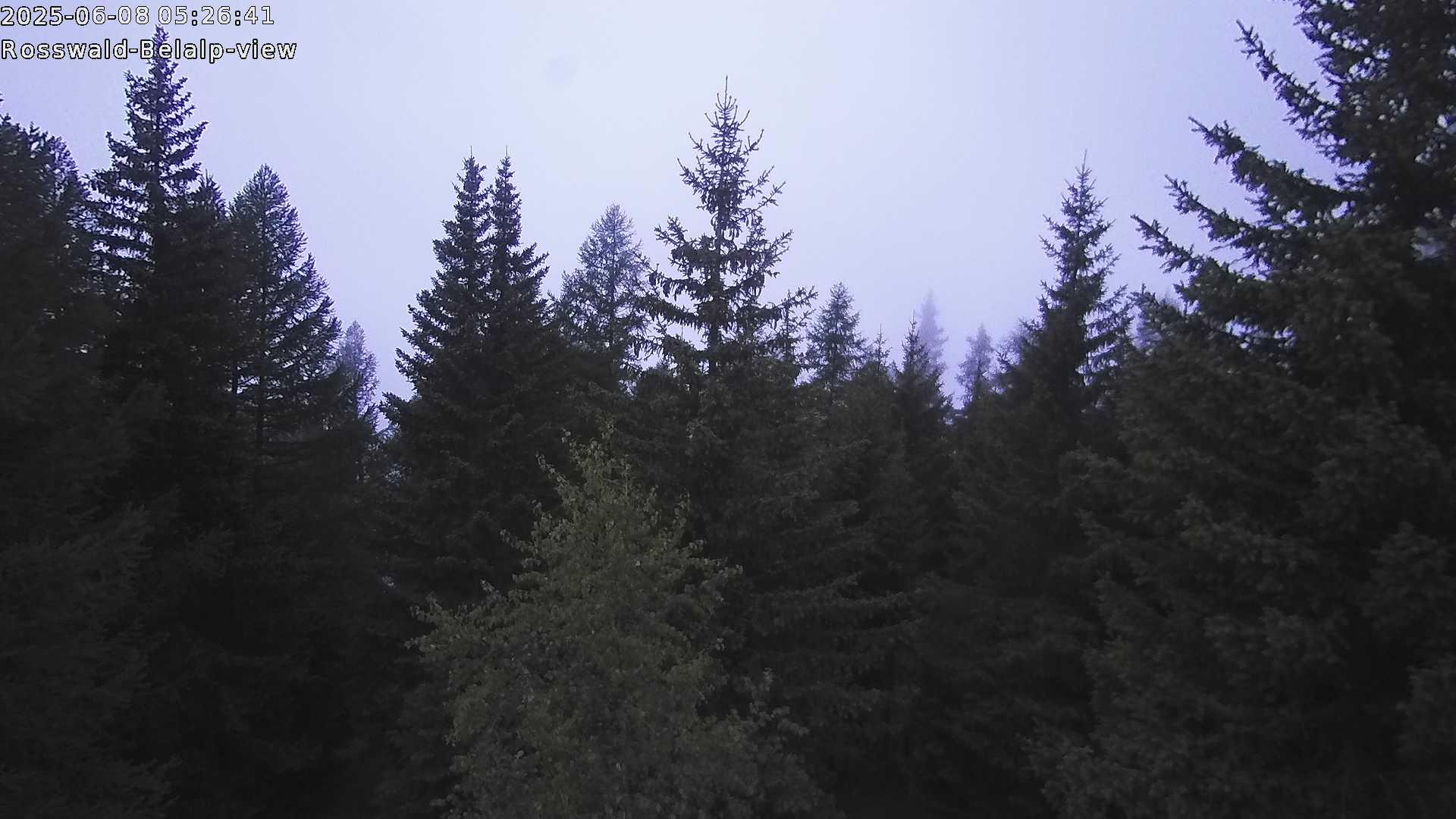 1h ago - 05:31
