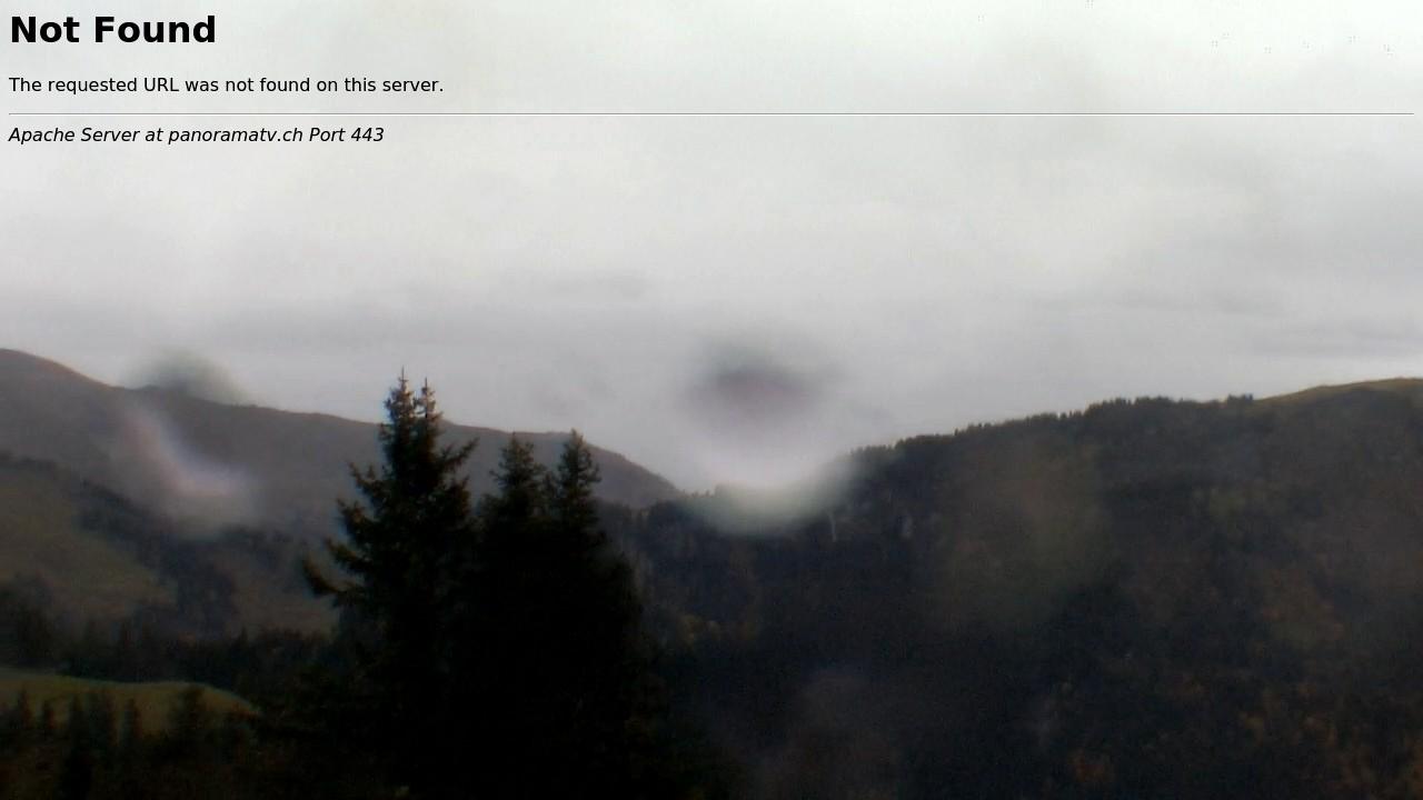 14.10.2024 12:26