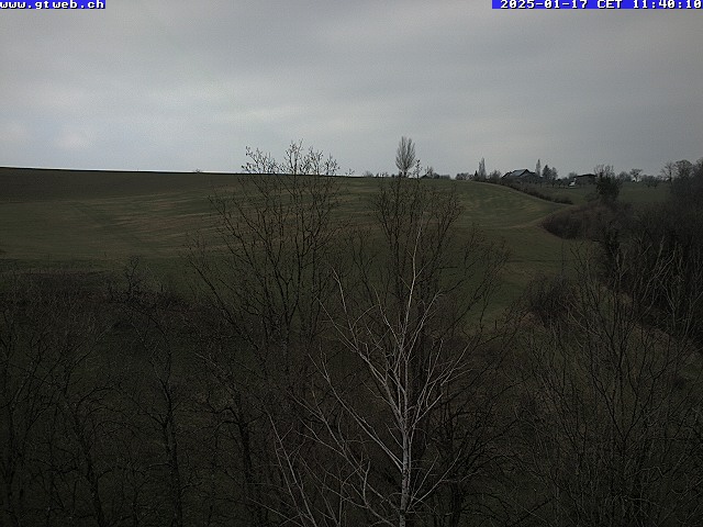 17.01.2025 12:07